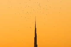 Burj-Khalifa-Nest