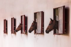1Horses-in-Windows-At-Attention-2_X7A4636