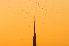 Burj-Khalifa-Nest