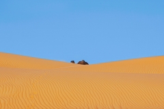 All-are-Dunes-1